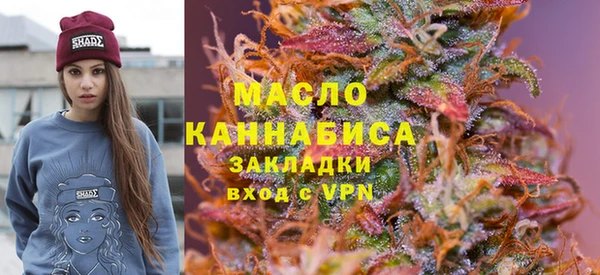 крисы Бородино