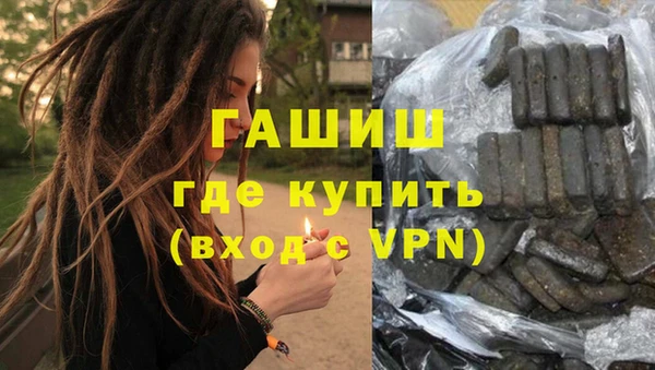 крисы Бородино