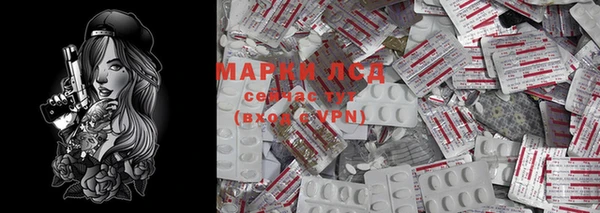 крисы Бородино