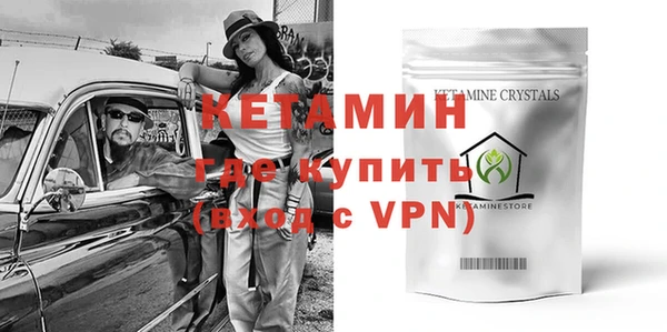 крисы Бородино
