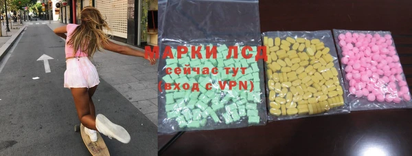 крисы Бородино