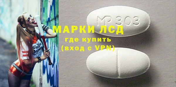 крисы Бородино